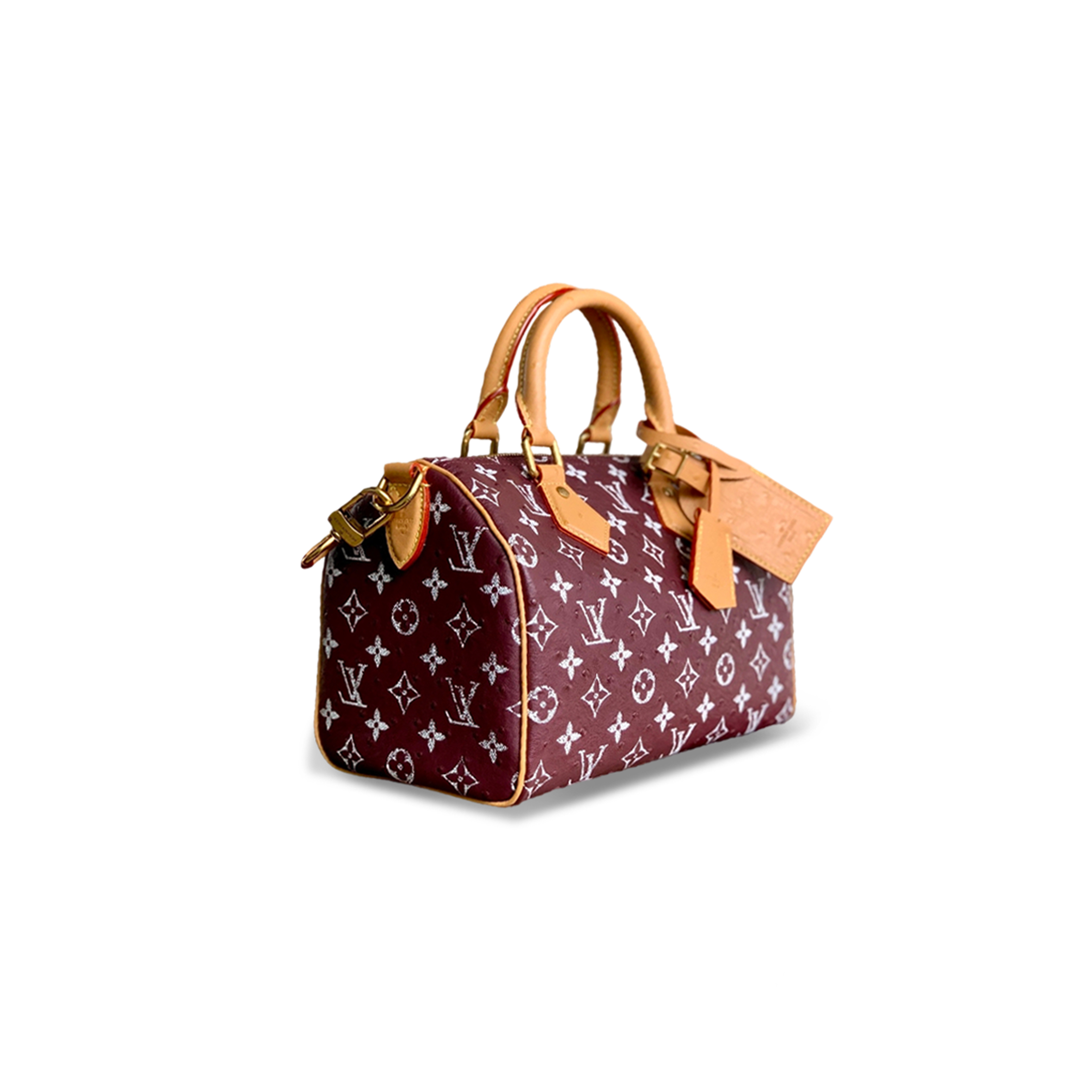 LOUIS VUITTON SPEEDY P9 BANDOULIÈRE 25 M24437 (25*15*15cm)